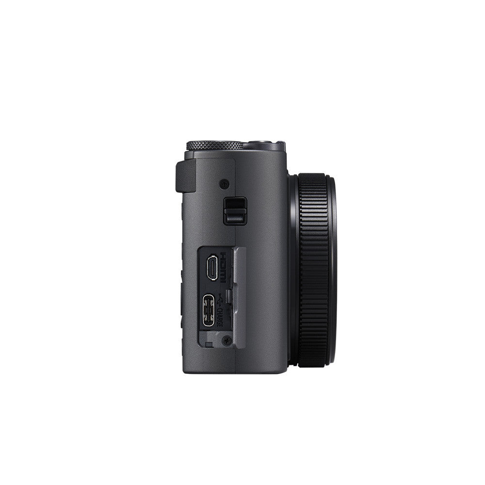 PANASONIC LUMIX DC-TZ300 Dark Silver + 2e batterie