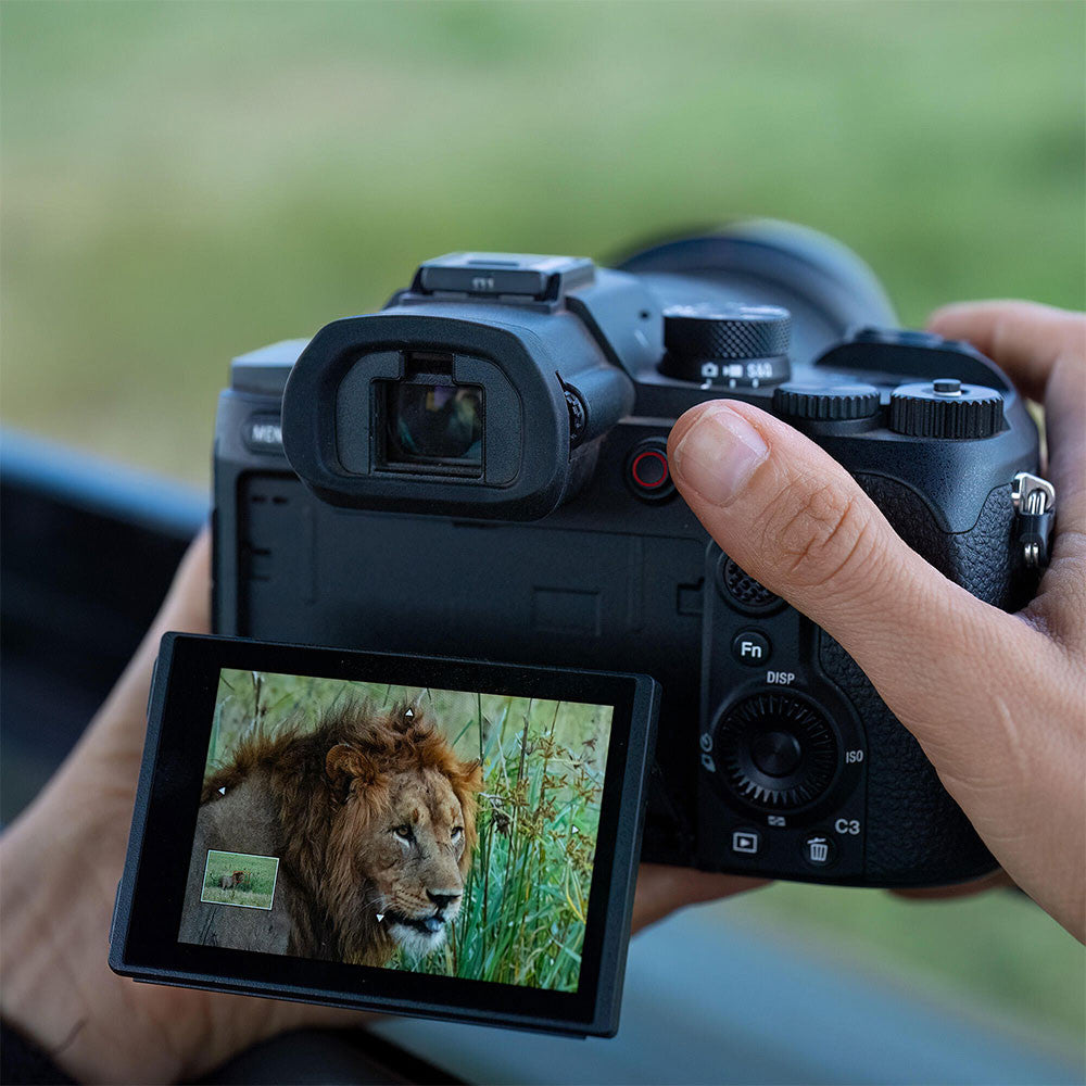 SONY DSC-RX10 V